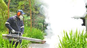 Best Fumigation Services  in Bell, CA